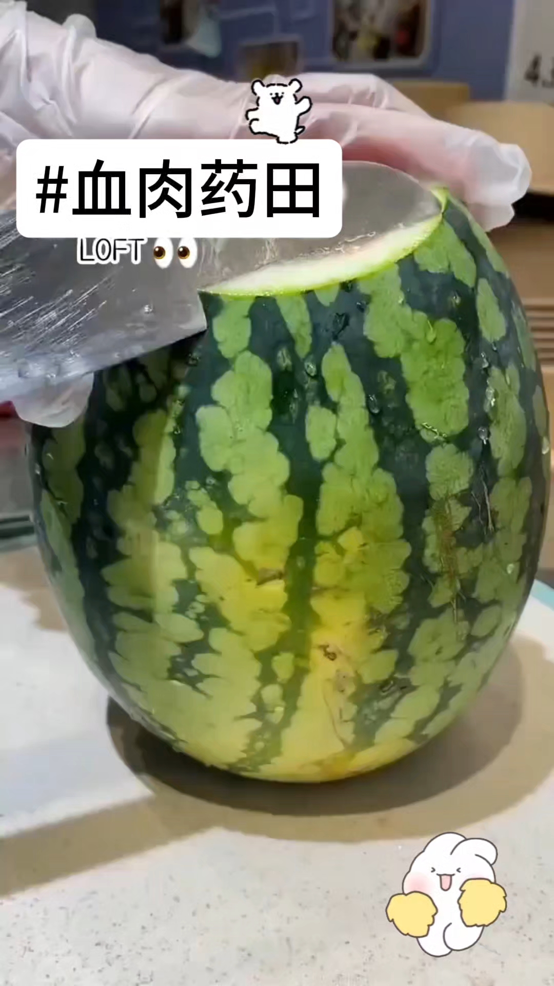 书铭《血肉药田》 后续:LOFTER(一个APP)