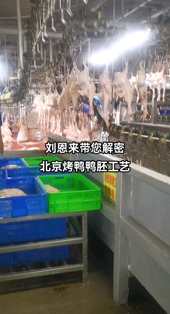 北京烤鸭制胚工艺