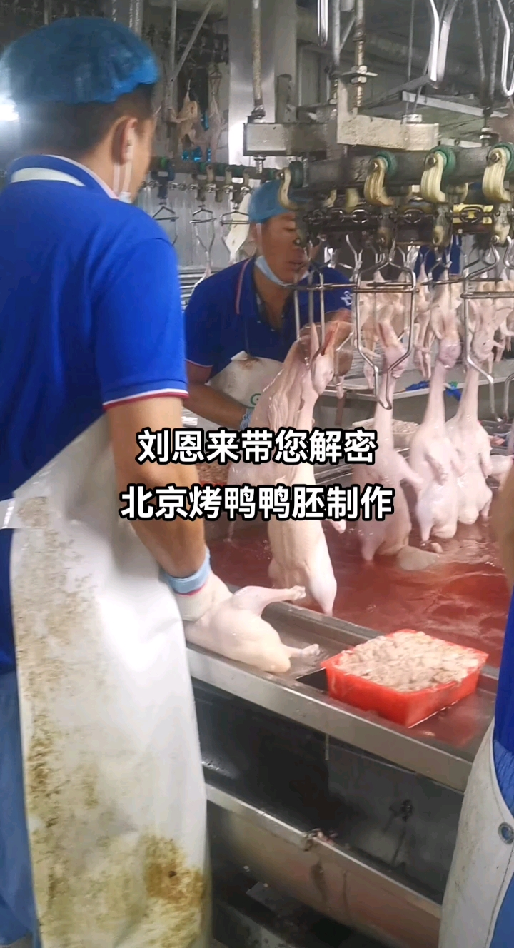 北京烤鸭,鸭胚制作工艺。