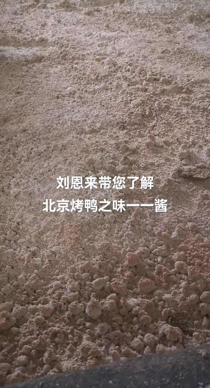 北京烤鸭之酱的发酵工艺