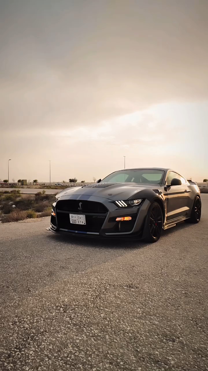 人生不在于前进的速度 而在于上升的高度#谢尔比gt500 