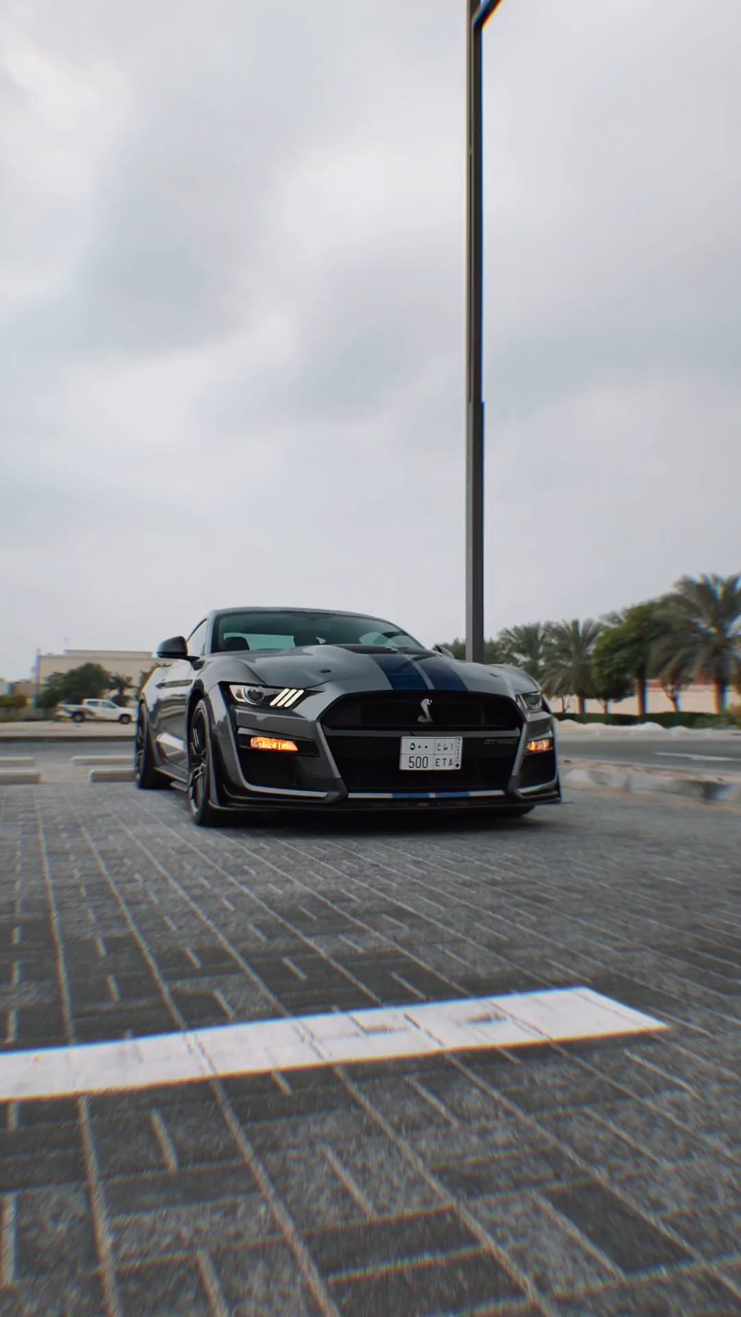 命运洪流不可阻挡 我的回答是向前#谢尔比gt500 