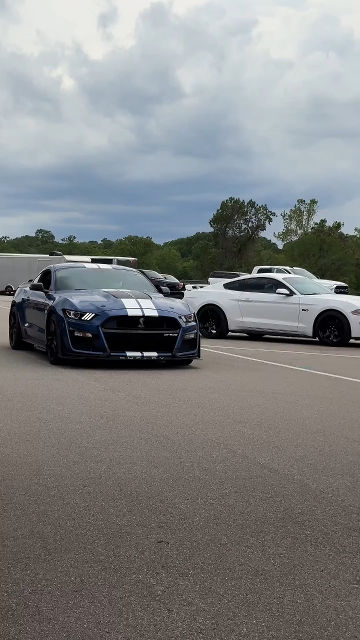 花时间解释 不如花时间证明#谢尔比gt500 