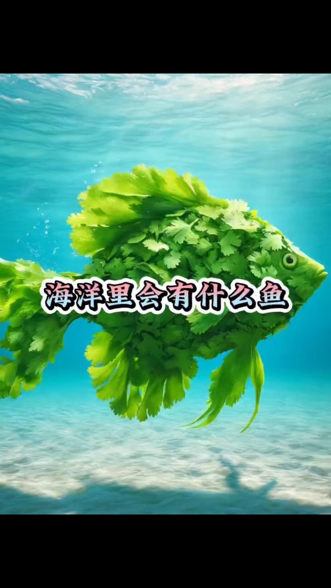 海洋里有什么鱼