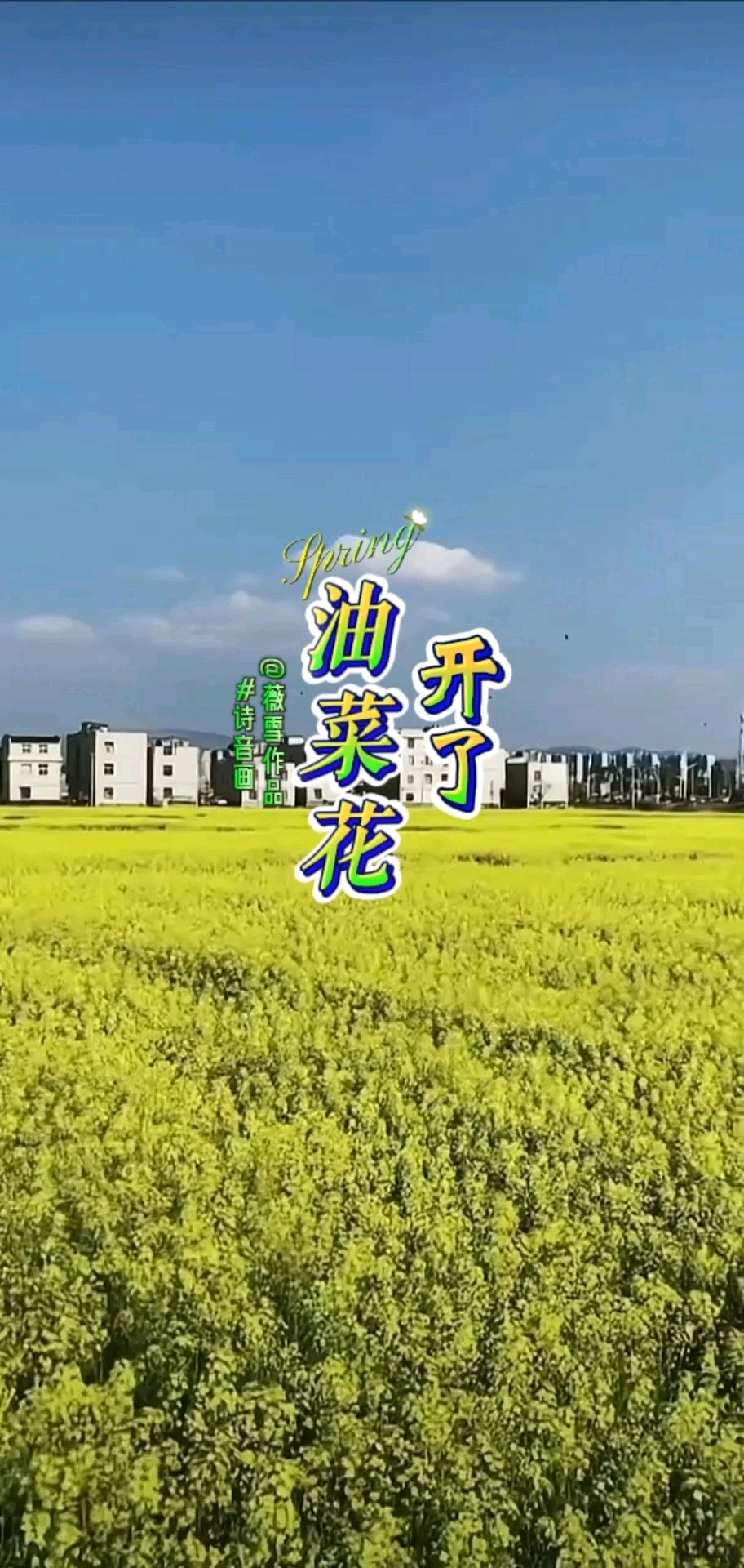 诗音画/原创诗词:《油菜花开了》(背景音乐～花香醉了谁)