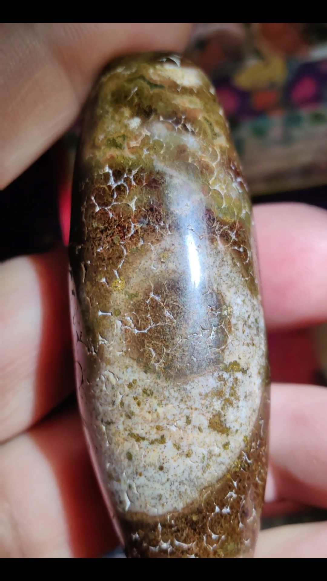 这是藏地最古老的“太极图”——双鱼