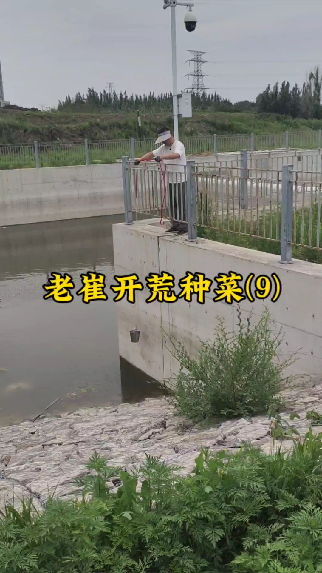长春老崔今天开荒种菜种了很多种蔬菜，猜猜都有哪些品种呢？还不小心把手机屏摔碎了