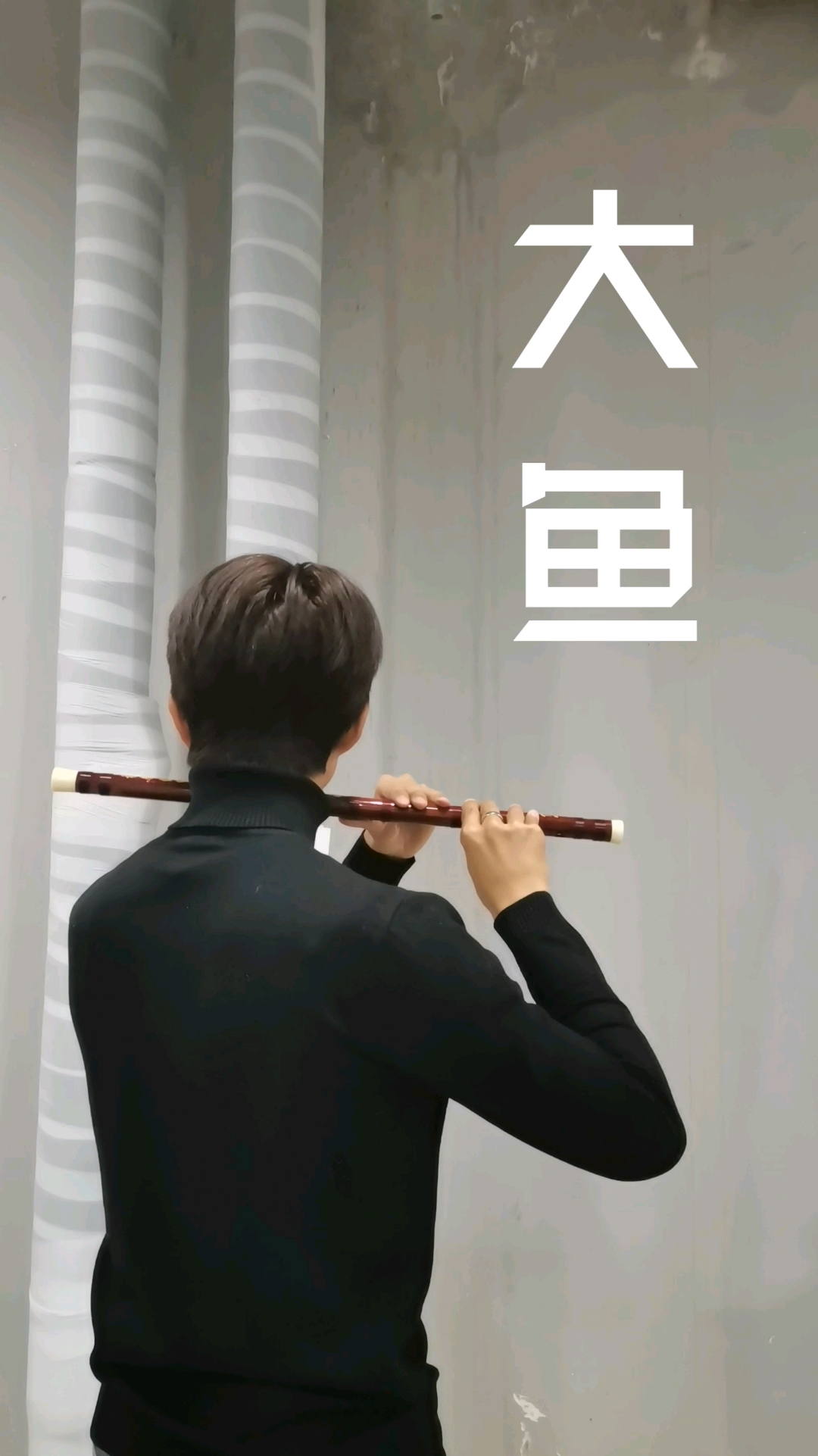 海阔凭鱼跃天高任鸟飞,大鱼竹笛演奏