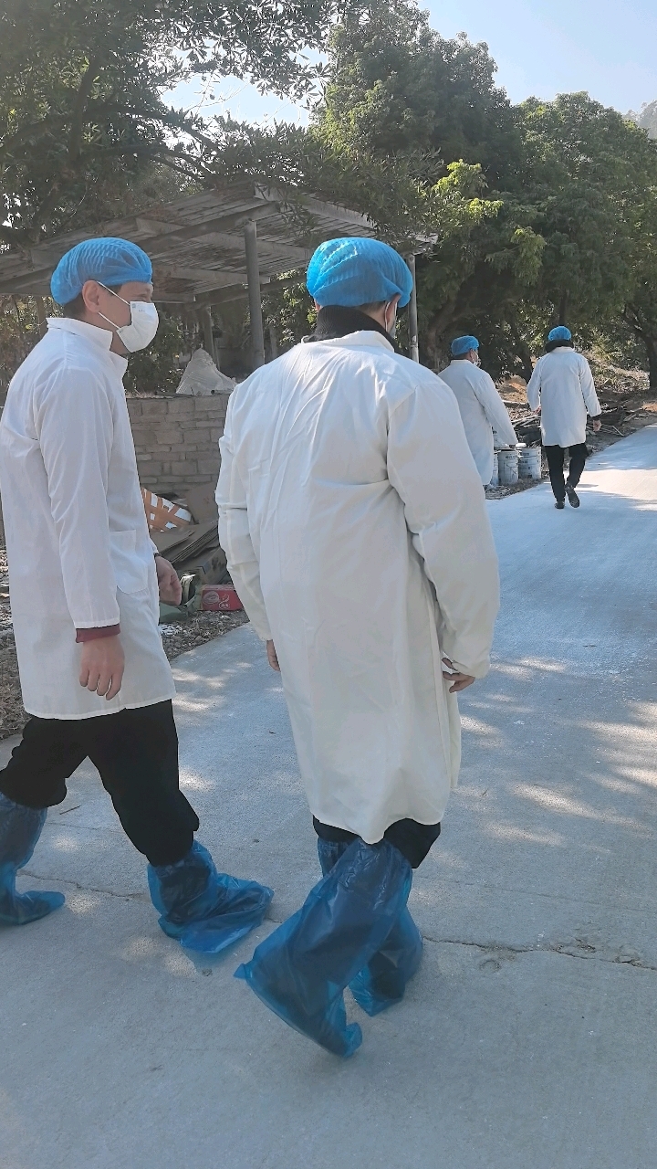 参观老乡的养鸡场,规模还可以,学到不少东西