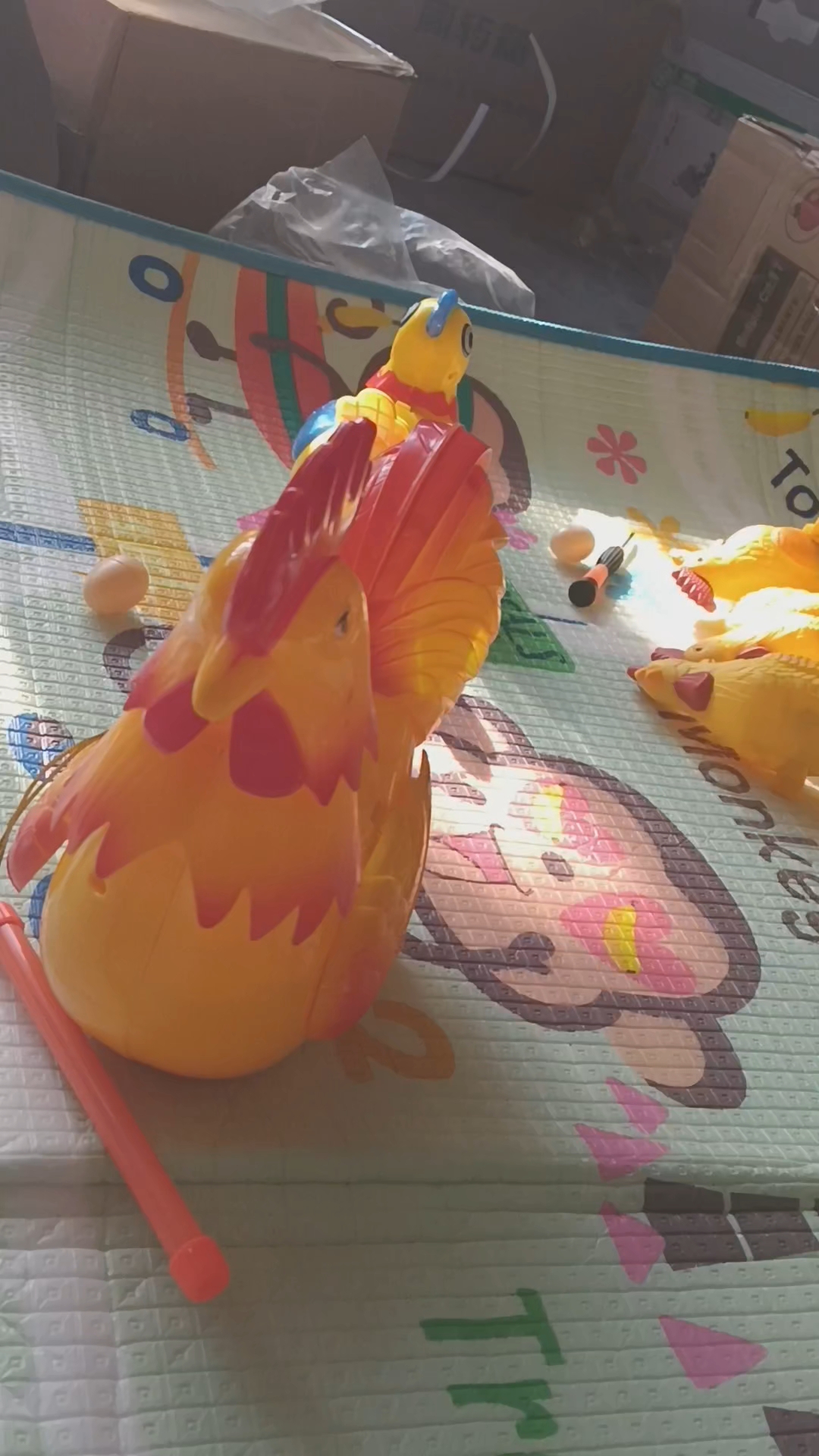 母鸡下蛋,公鸡打鸣