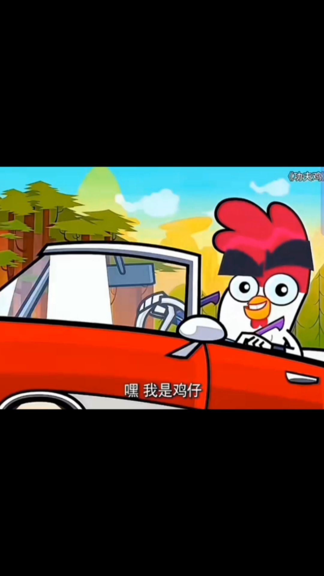 真正的功夫鸡