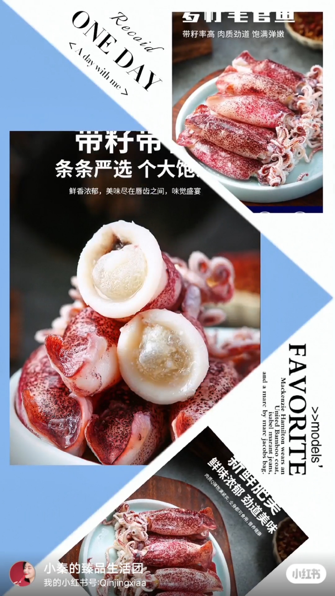 笔管鱼是一种体型细长的墨斗鱼