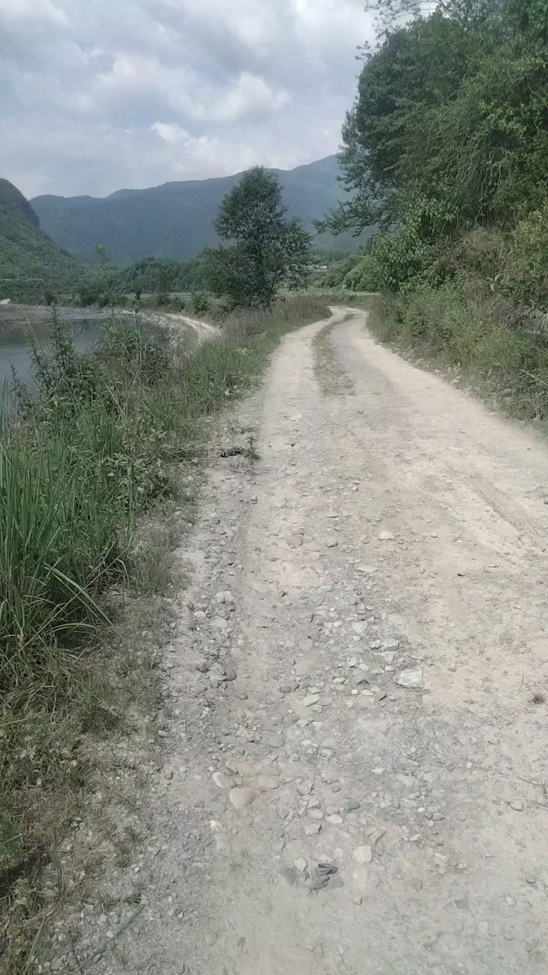 生活的最佳状态是冷冷清清地风风火火