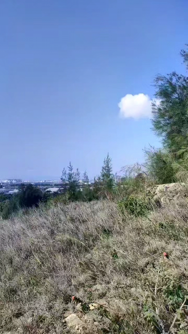 你若不闯进我生活,月底至少剩两百多