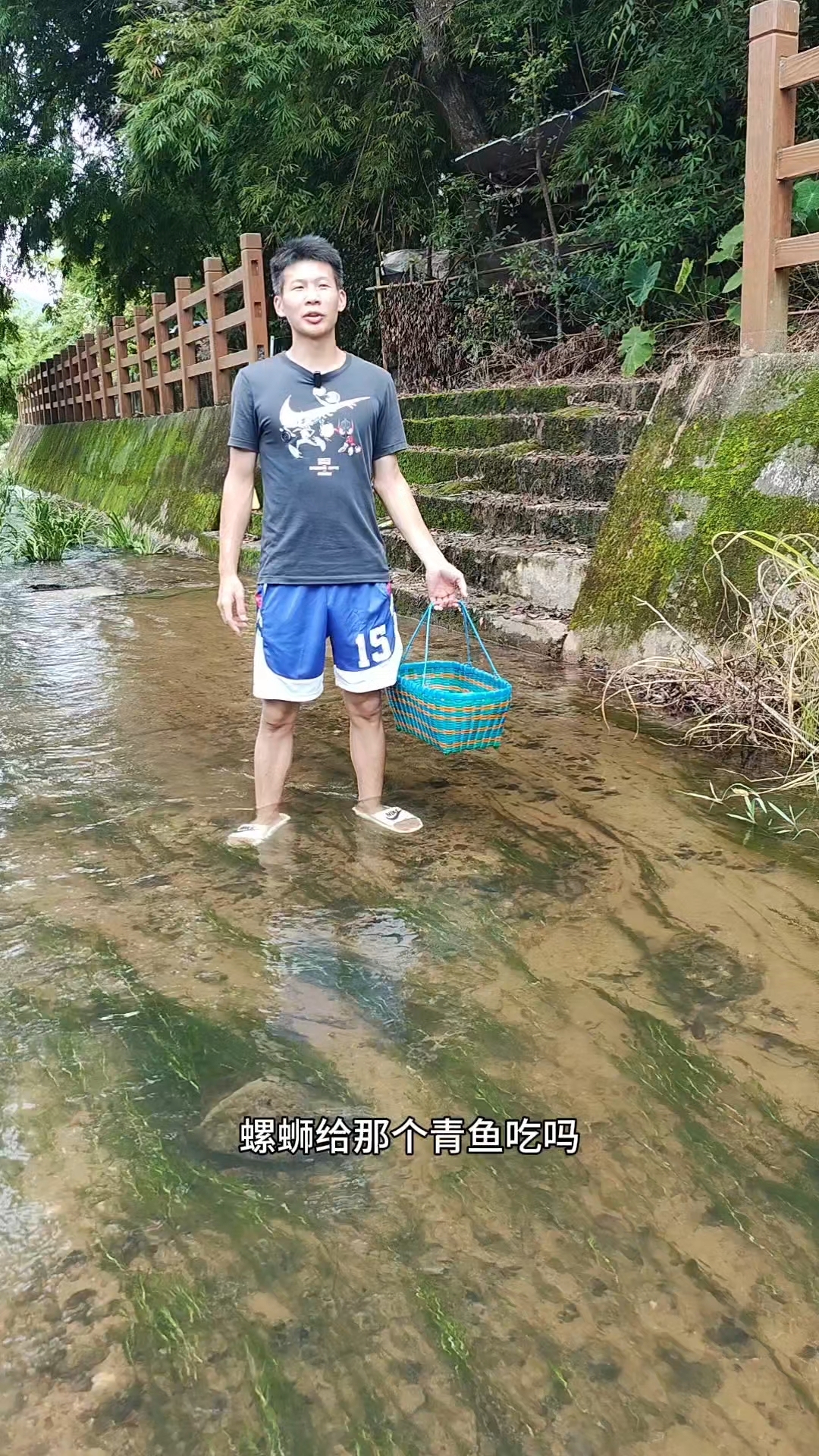 今天去河里捡螺蛳喂青鱼和红鲤鱼