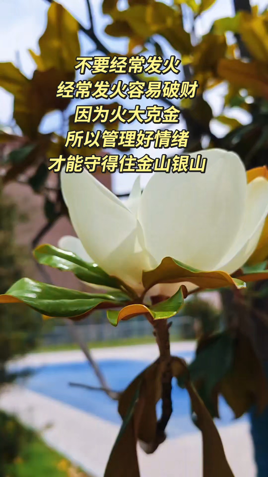 不要经常发火，经常发火容易破财，因为火大克金，所以管理好情绪，才能守得住金山银山