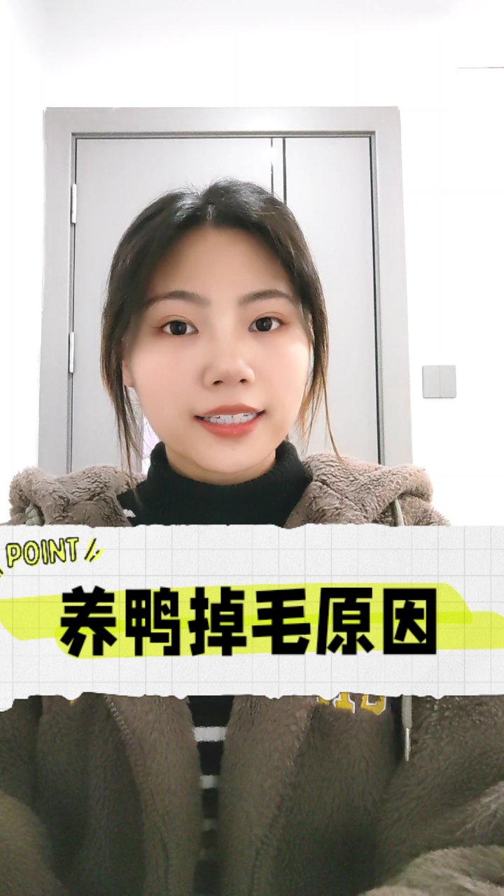 鸭子掉毛严重?原因全解析