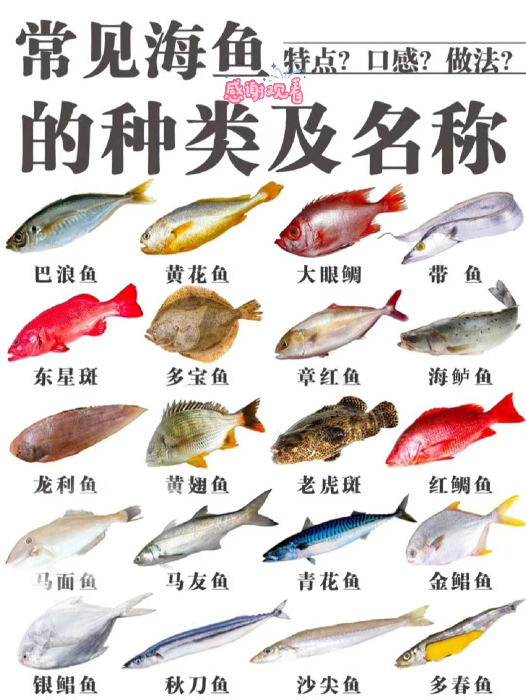 常见海鱼的种类及名称!