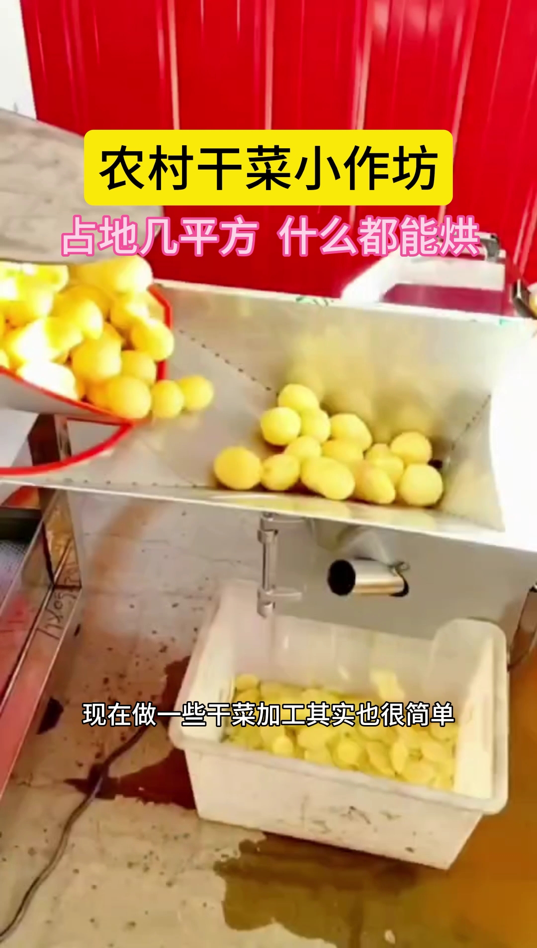 在农村打造一个干菜小作坊,占地几平方,什么都能烘干