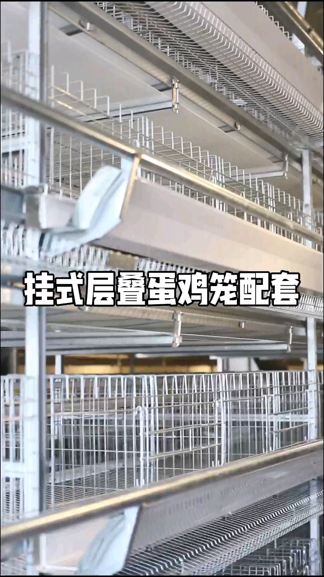 这款挂式层叠蛋鸡笼能养多少鸡