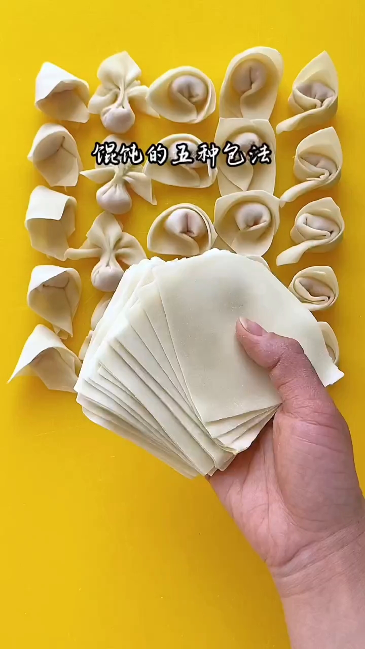 #面食分享 #各种花样面食制作 #纯手工制作馄饨 馄饨的五种