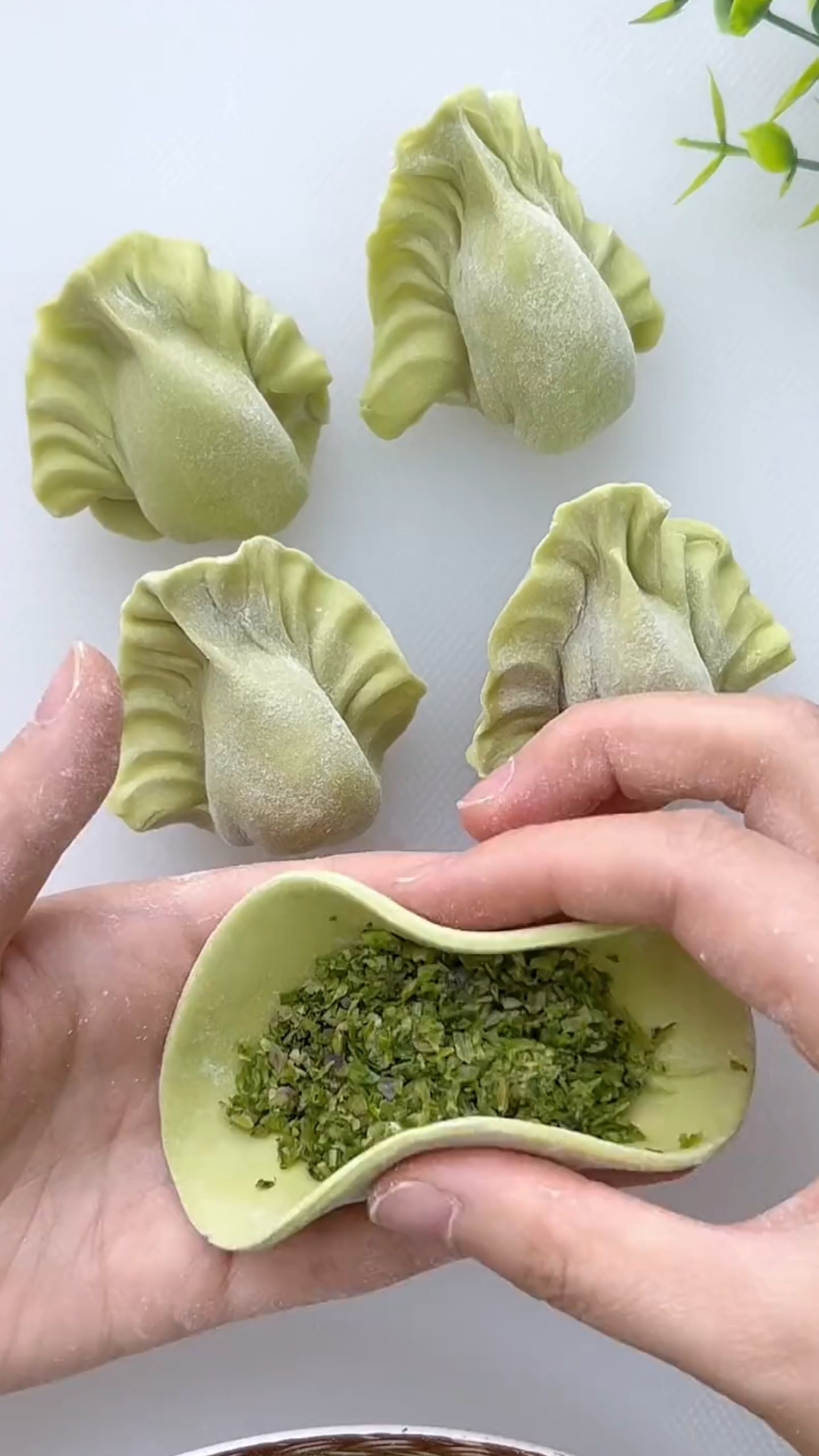 白菜饺子包法,好看好吃寓意百财#百财饺子#花样面食 #包饺子