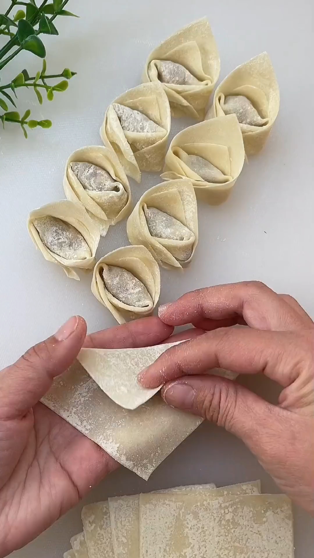 简单易学的馄饨包法教程来了,好看又好吃,你学会了吗#馄饨