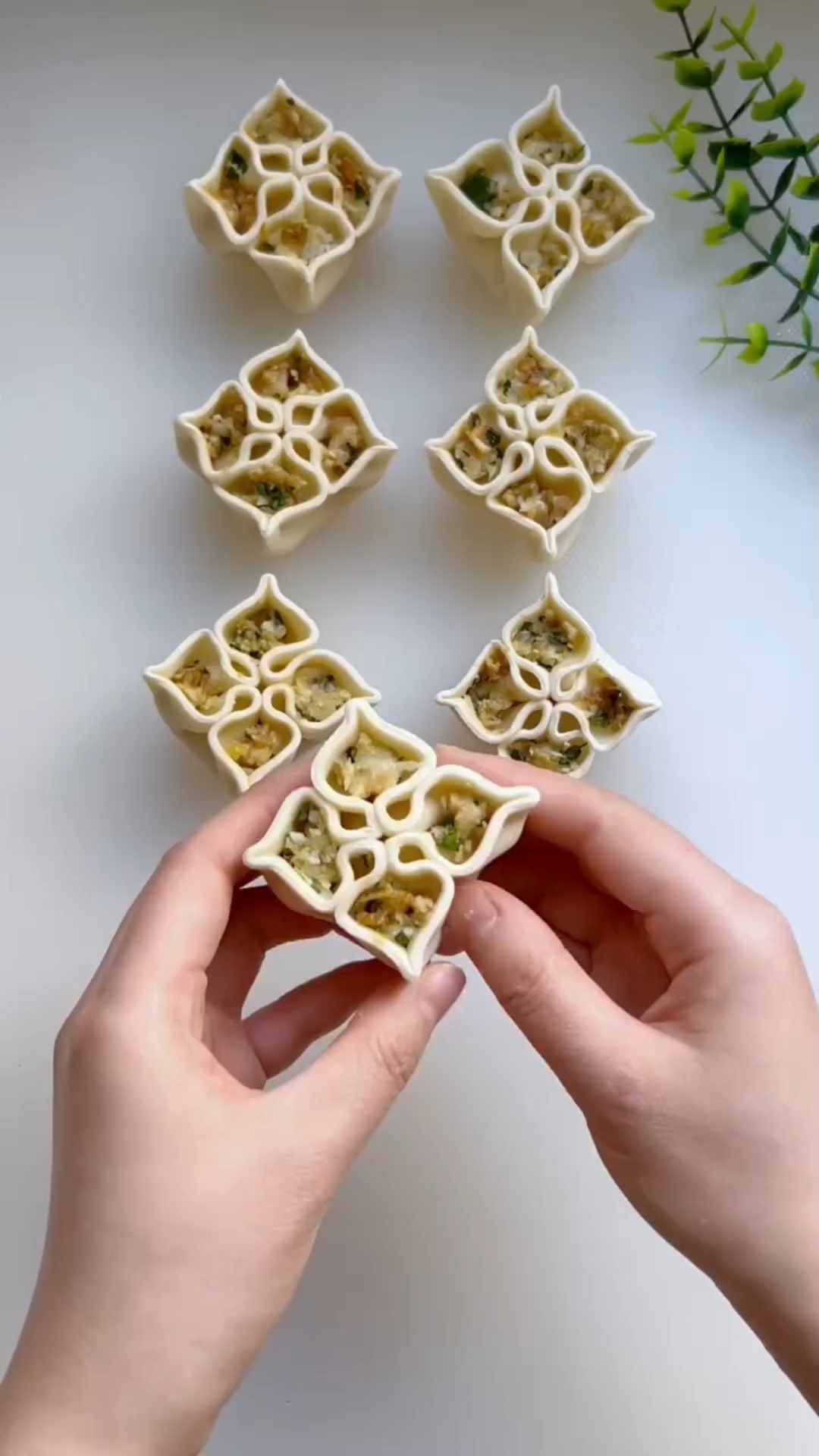 花样蒸饺包法教程来了,简单易学,好看又好吃#面食分享 