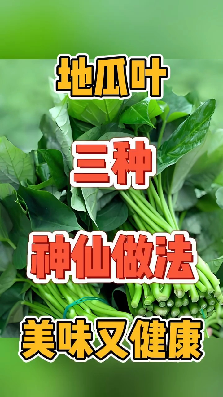地瓜叶三种家常做法 ,美味又健康!