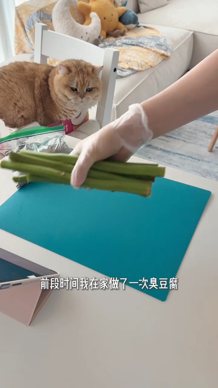 在家自制臭豆腐详细教程！