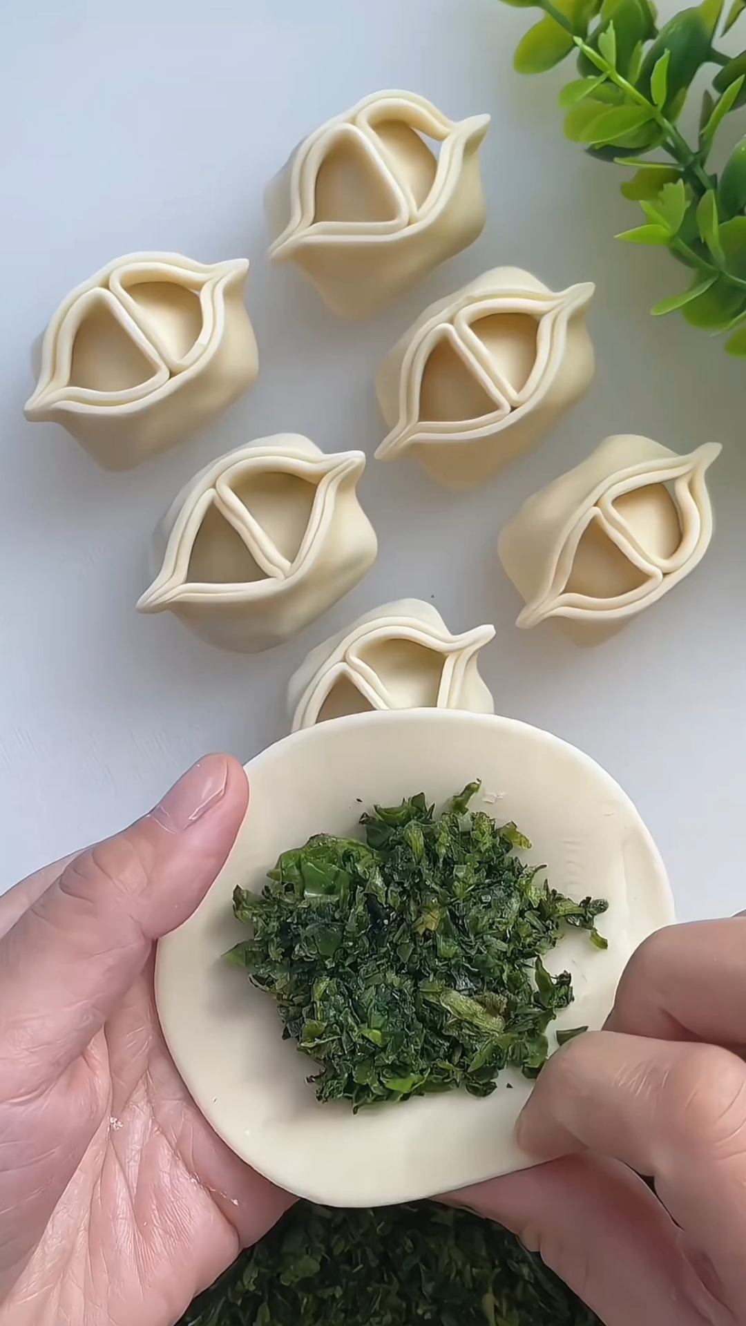 新花样饺子包法教程来了,简单又好看,有喜欢的收藏试试吧!