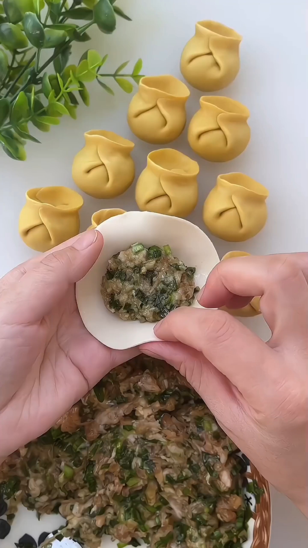 饺子的九种包法,你会几种?一起来学习#包饺子 !#饺子的花样