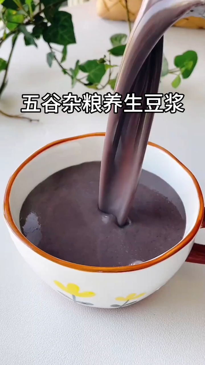 五谷杂粮养生豆浆# 早餐吃什么 # 五谷杂粮 # 健康饮食搭