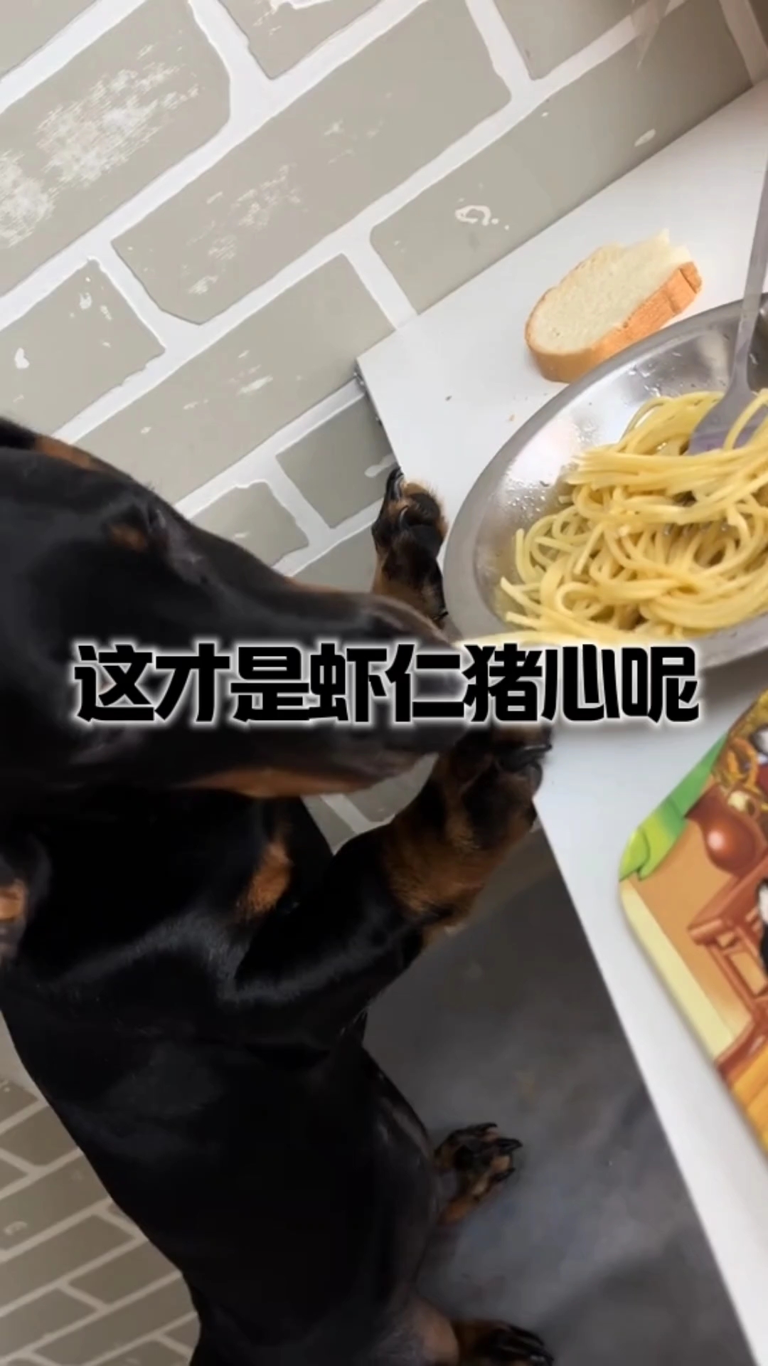 这才是虾仁猪心呢