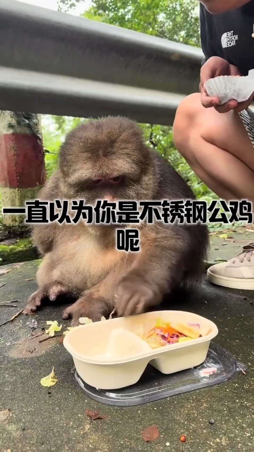 一直以为你是不锈钢公鸡呢