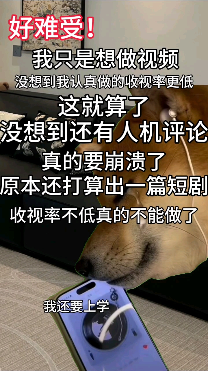 整天我都在想着怎么做视频,结果换来的全是收视率不高和人机评论
