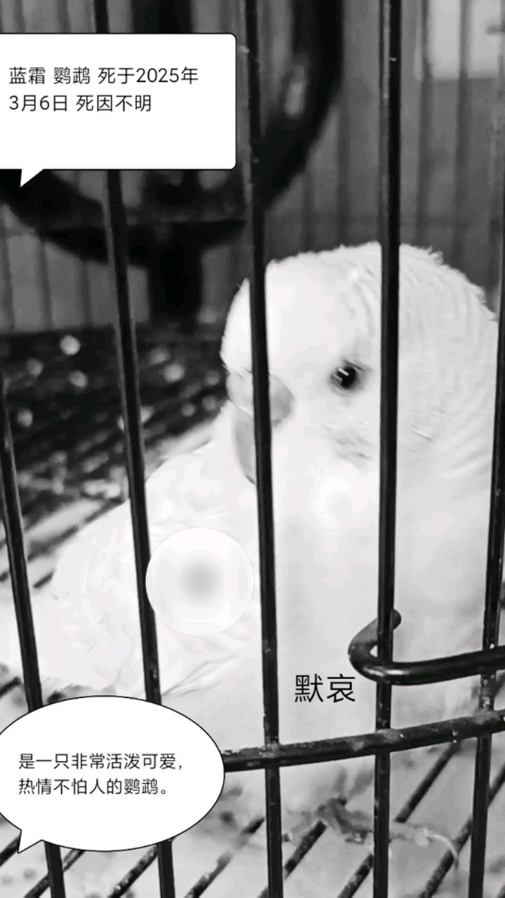 分享视频