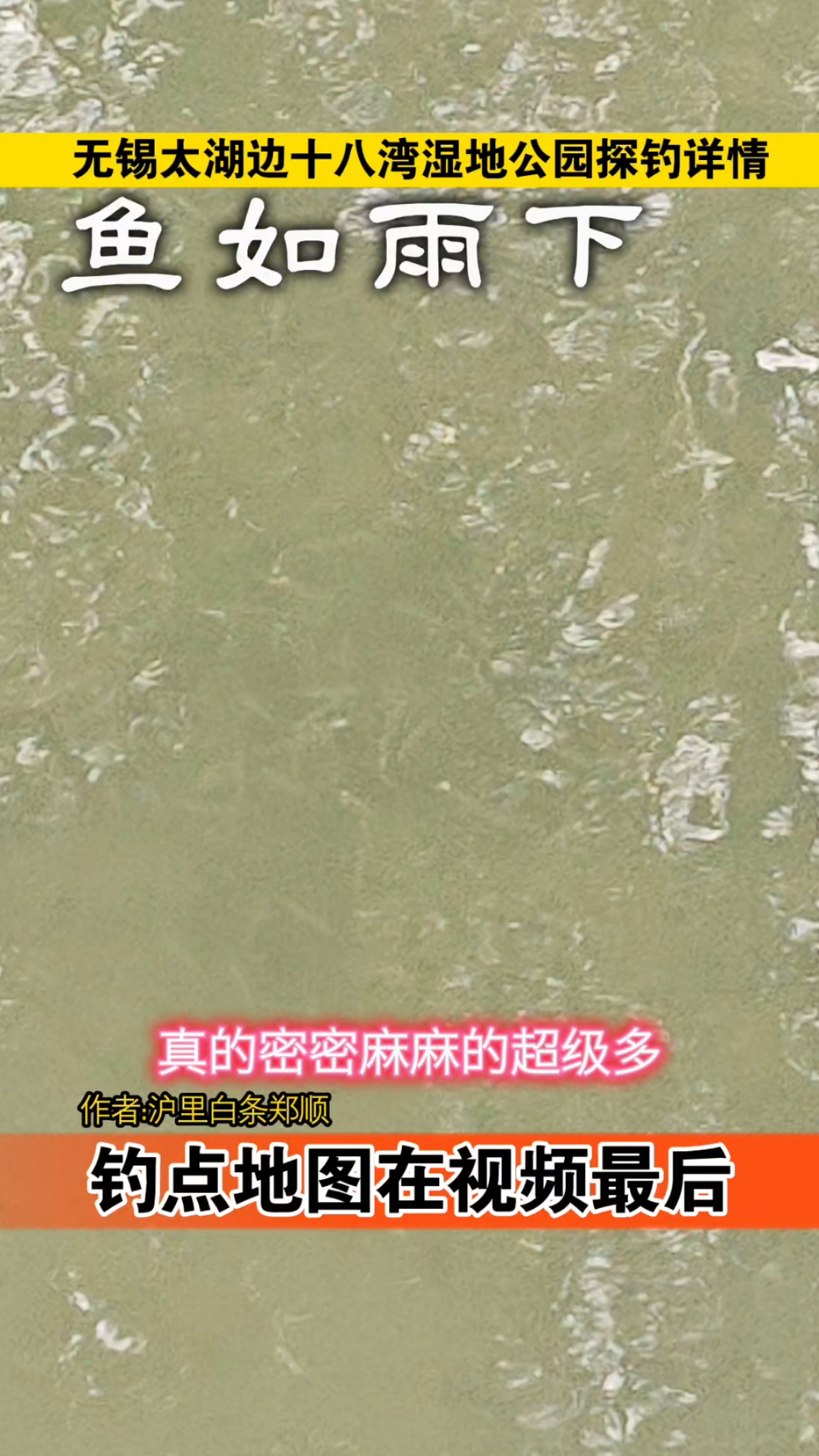 无锡太湖边边的一个钓小鱼爆点