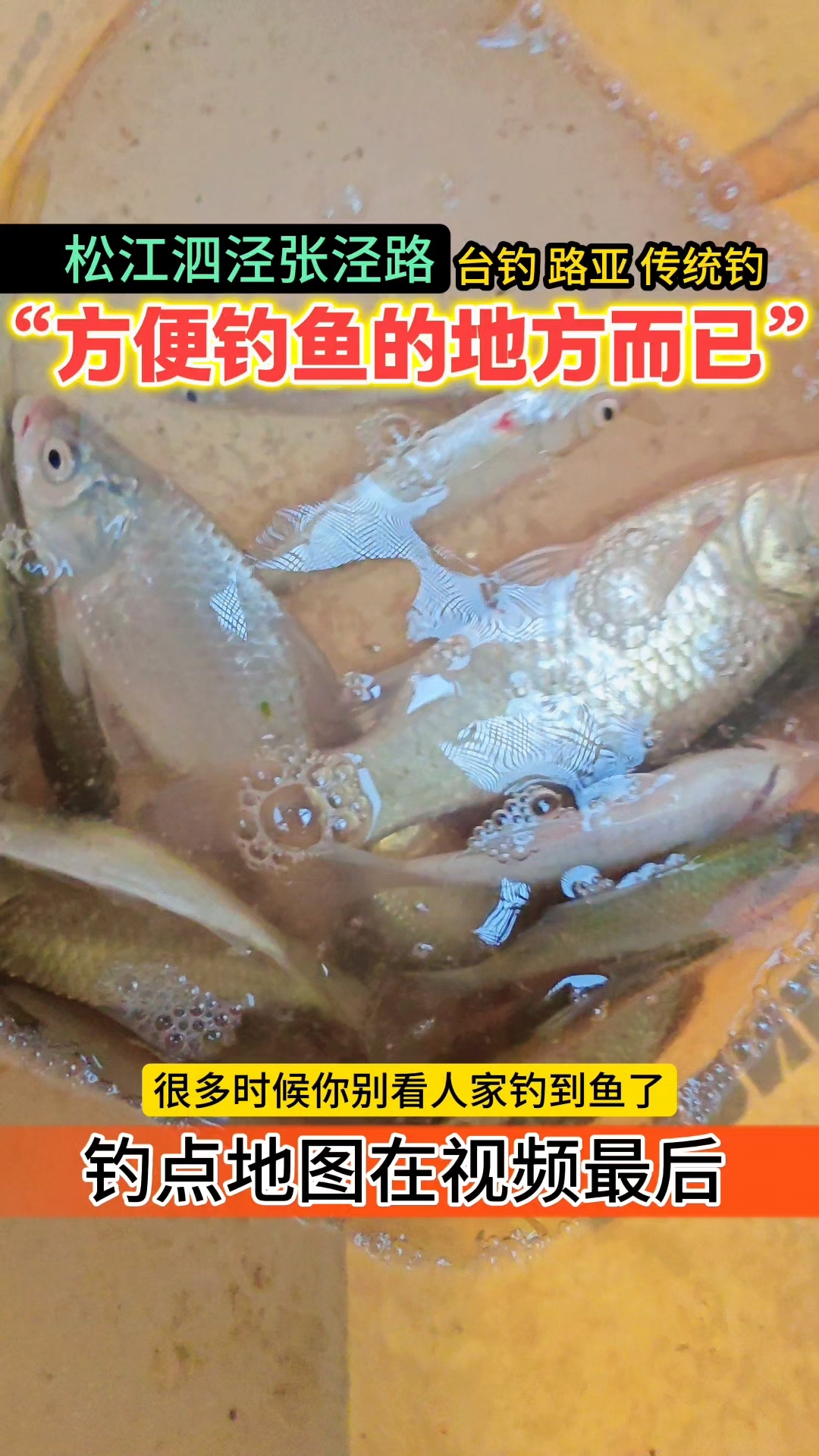 其实上海能钓鱼的地方很多,不要不好意思钓!