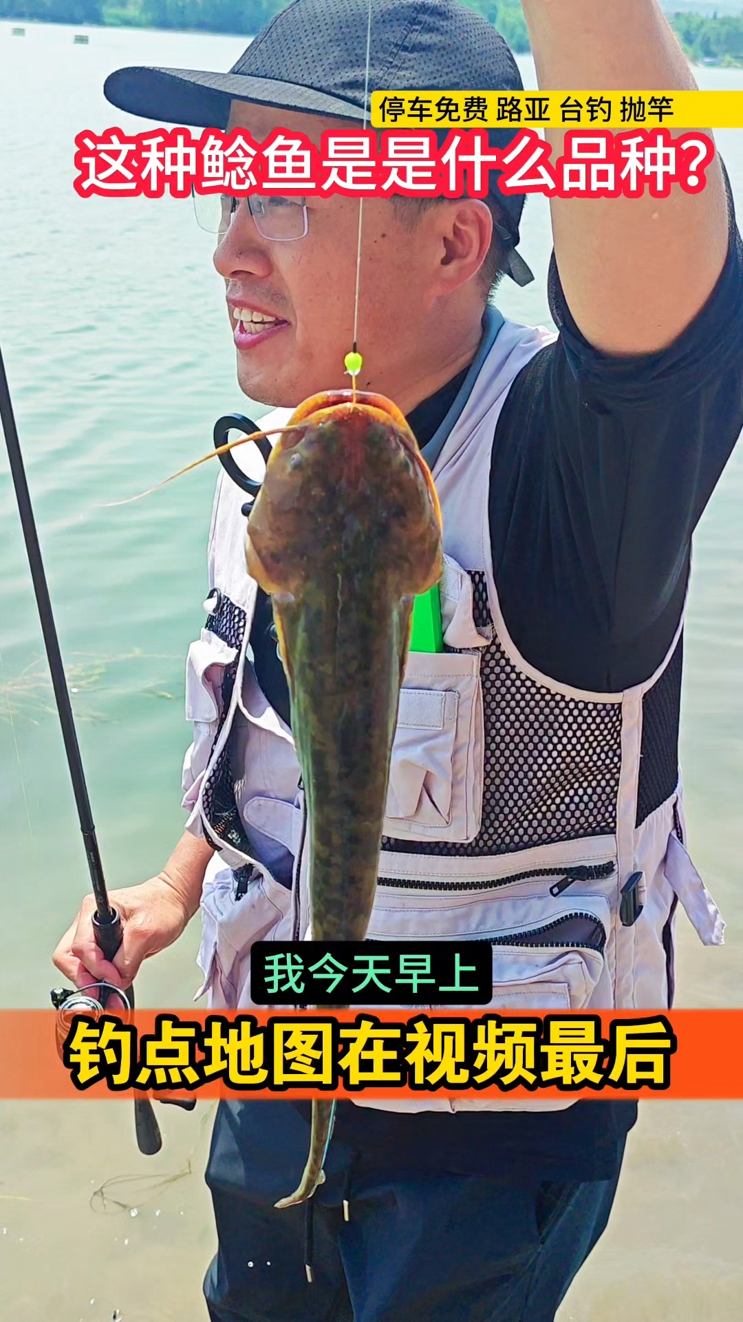 这种鲶鱼好吃么？