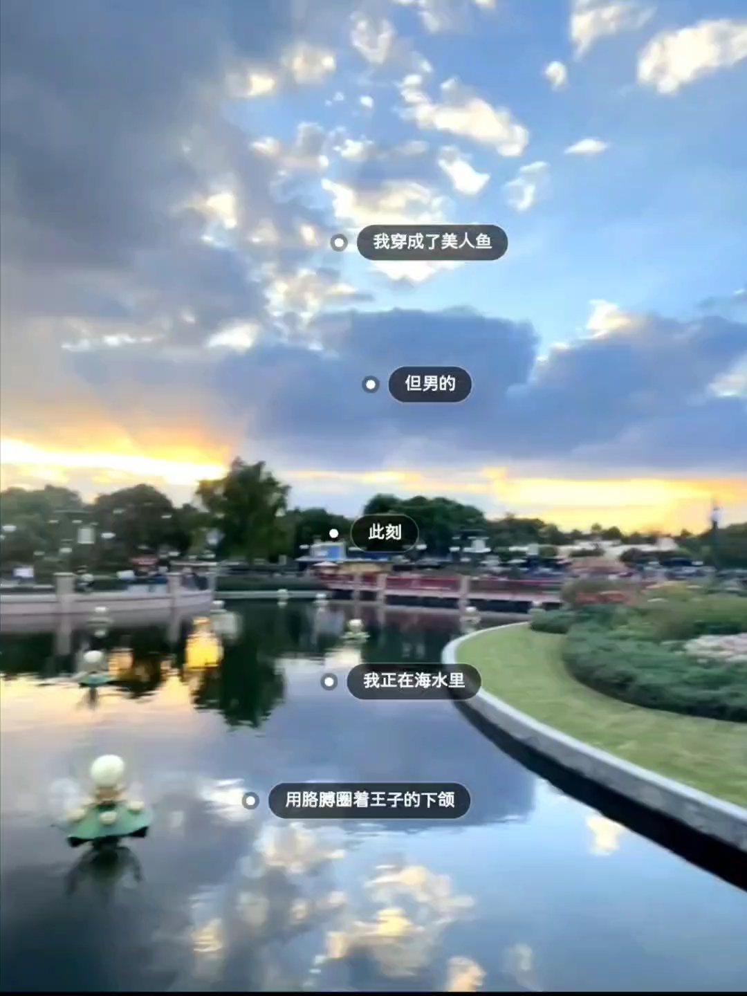 【双男主】我穿成了美人鱼,死对头穿成了我故事里的王子