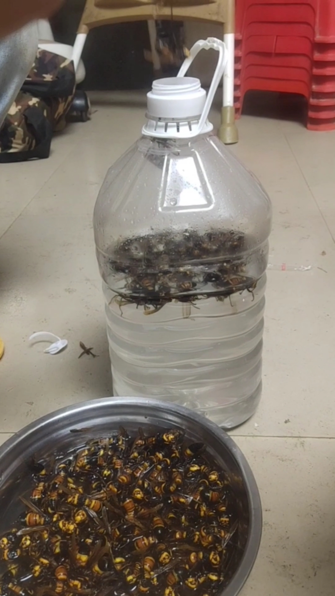 泡酒这样有什么作用呢