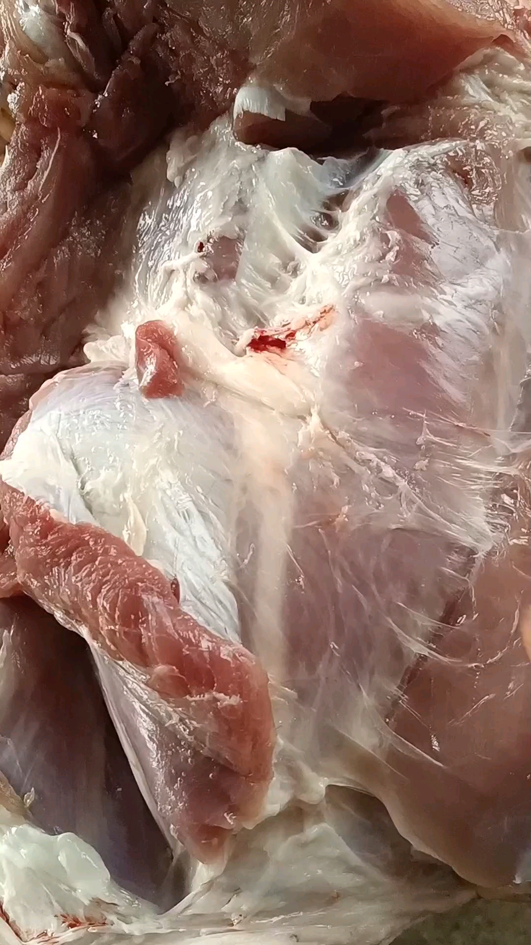 这就是后腿肉的基本结构