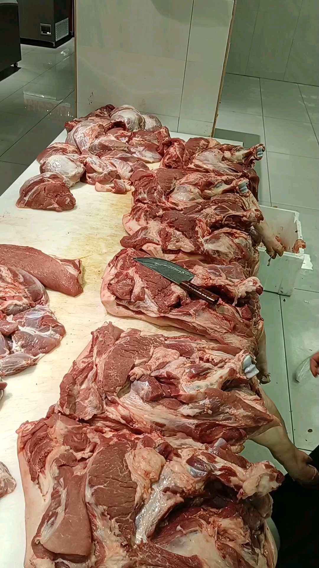 前腿肉