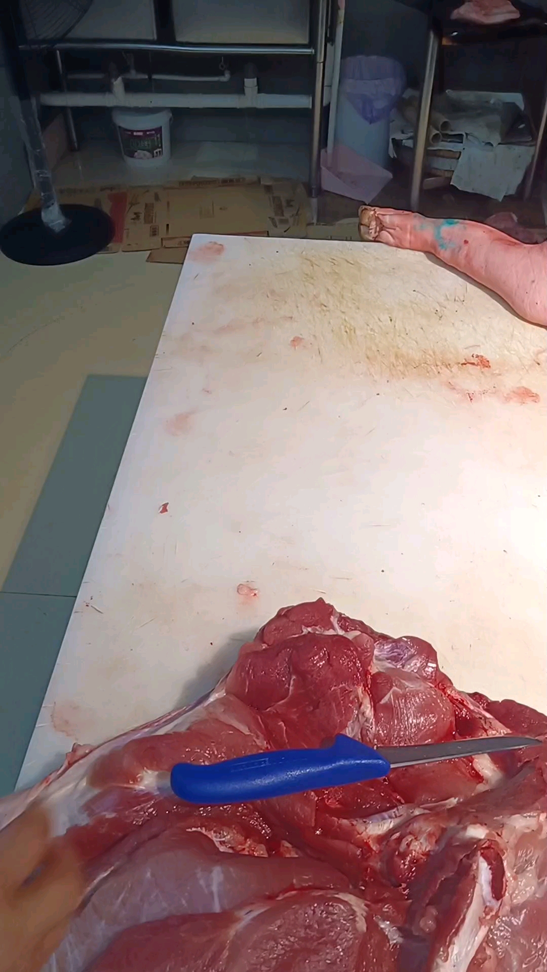 后腿肉分割每个地方每个人都是不一样的