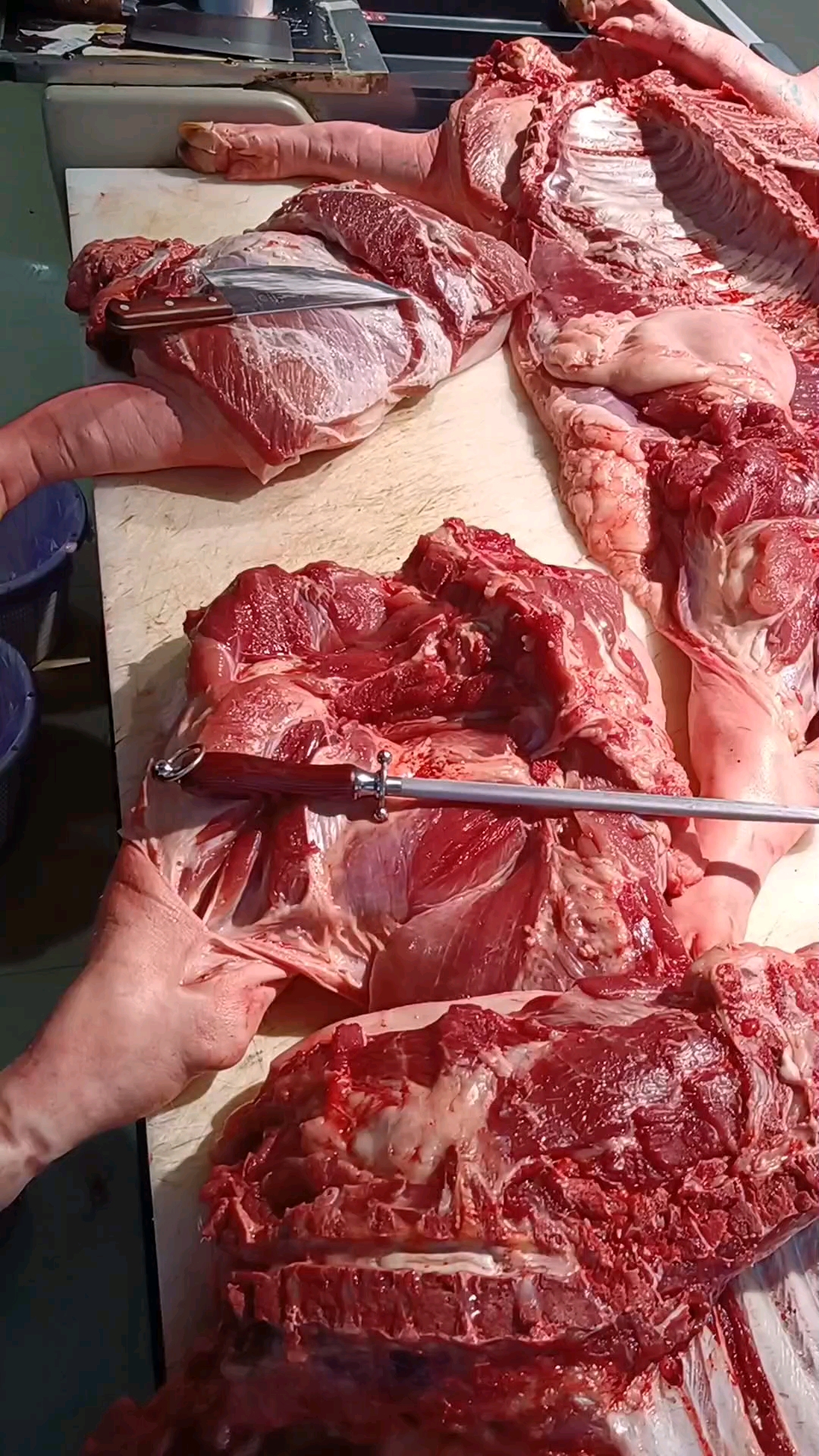 究竟是前腿肉好吃还是后腿肉好吃啊?