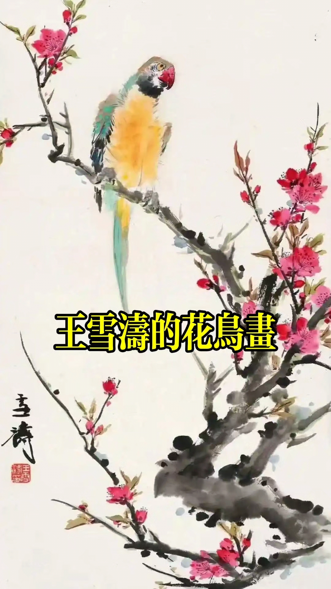 王雪涛的花鸟画