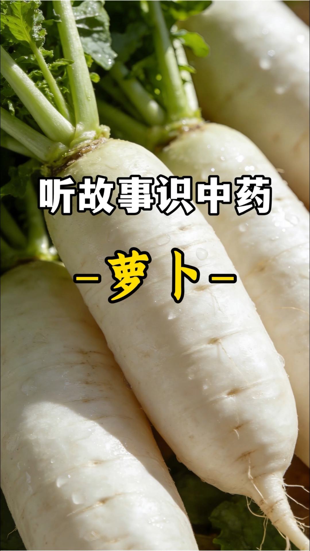冬吃萝卜夏吃姜,你知道这是什么原因吗?