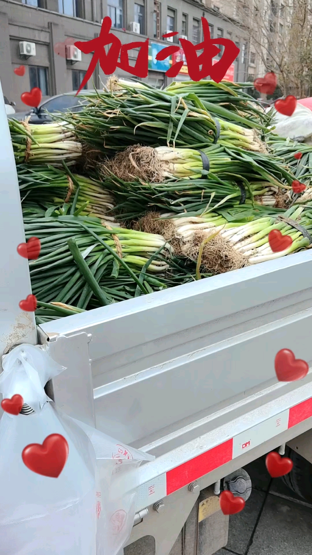 每到过年，都要买一捆大葱 备用，炸肉圆子，包饺子，包包子等等