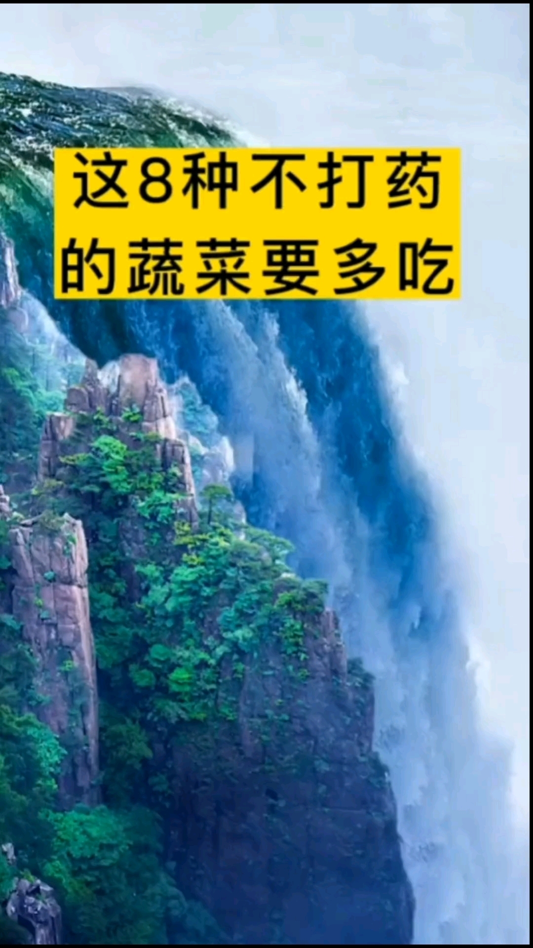 这八种不打药的蔬菜要多吃